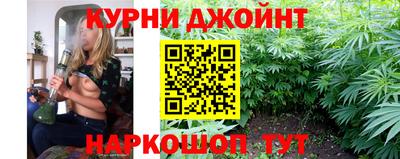 сатива Кулебаки