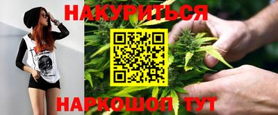сатива Кулебаки