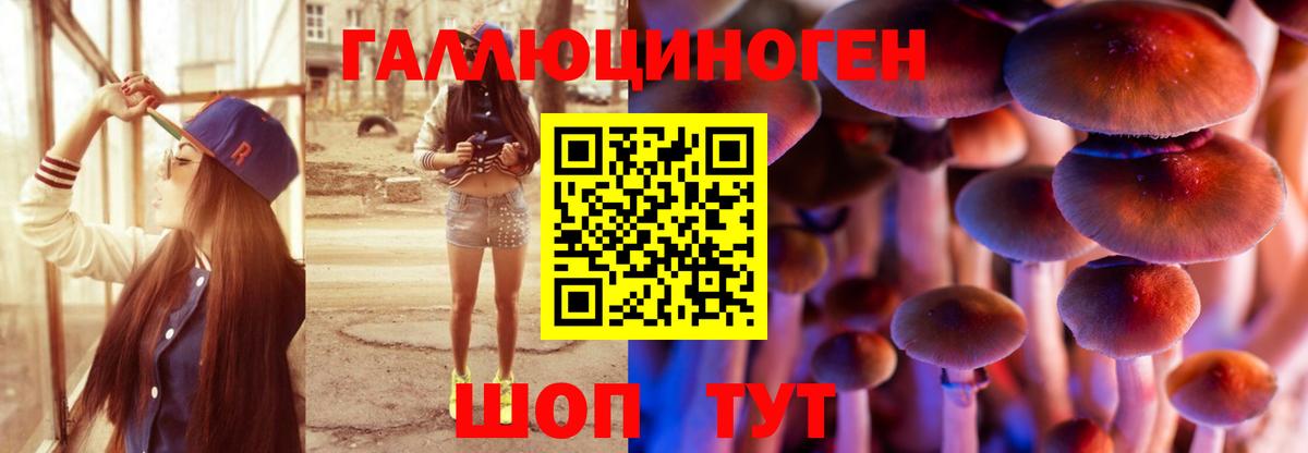 Псилоцибиновые грибы Cubensis  Вход с VPN  Южноуральск  Псилоцибиновые грибы GOLDEN TEACHER 